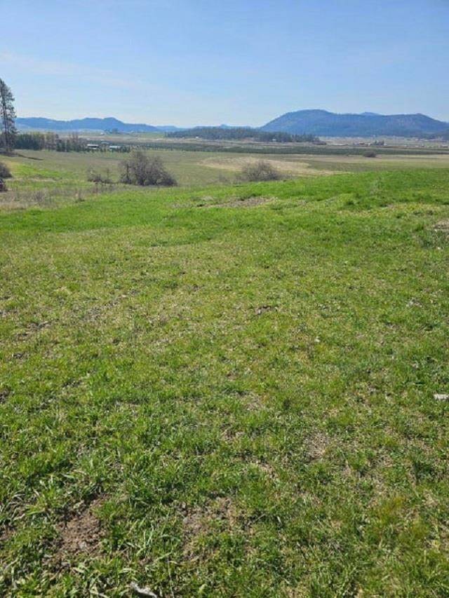 2372 B Cottonwood Creek Rd, Chewelah, WA 99109