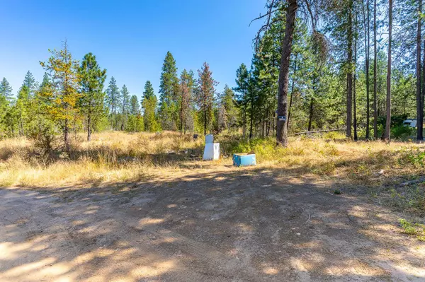 Newport, WA 99156,1101 Scotia Rd