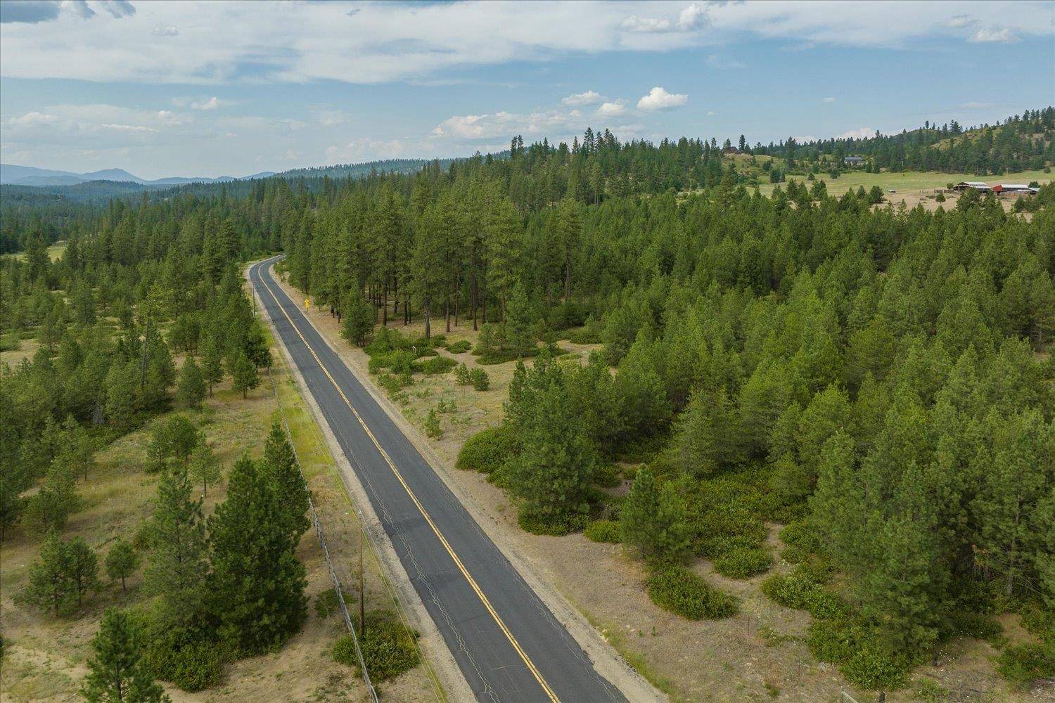 Chattaroy, WA 99003,XX N Hardesty Rd