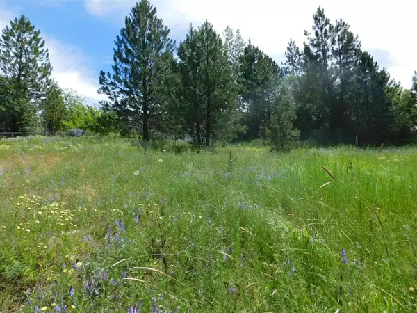 Rockford, WA 99030,420 NE Stringham Rd #Lot 1