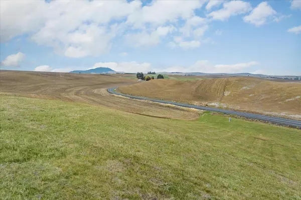 Palouse, WA 99161,19001 SR 272 Hwy