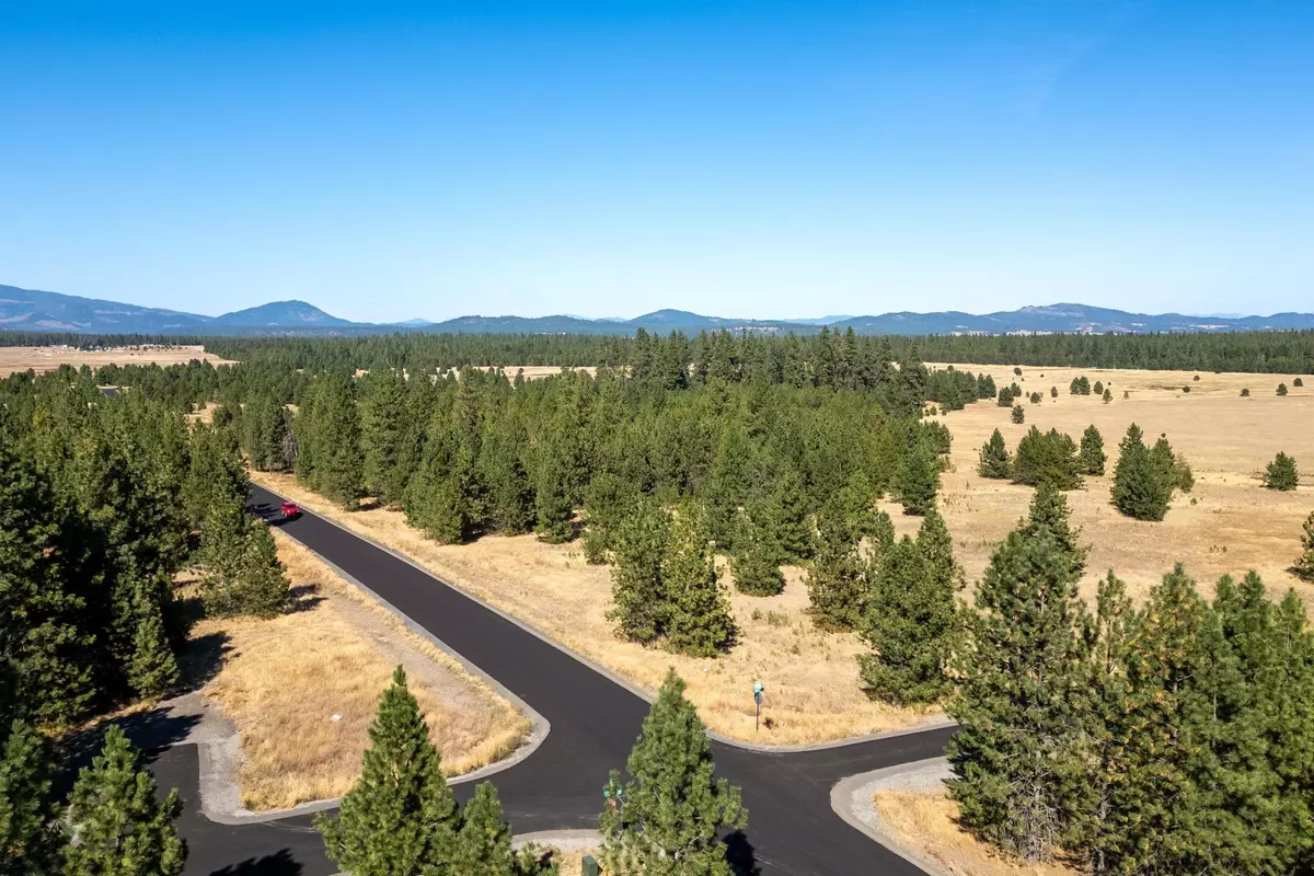 Deer Park, WA 99006,NKA N Tudor Rd #LOT 2