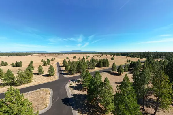 Deer Park, WA 99006,NKA N Tudor Rd #LOT 2