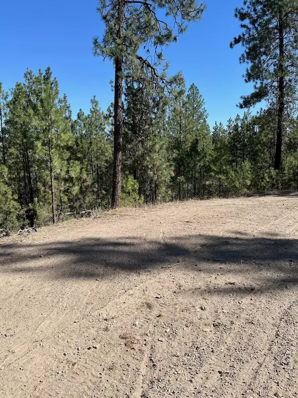 Davenport, WA 99122,Lot 3 Top Notch Bob White Ln