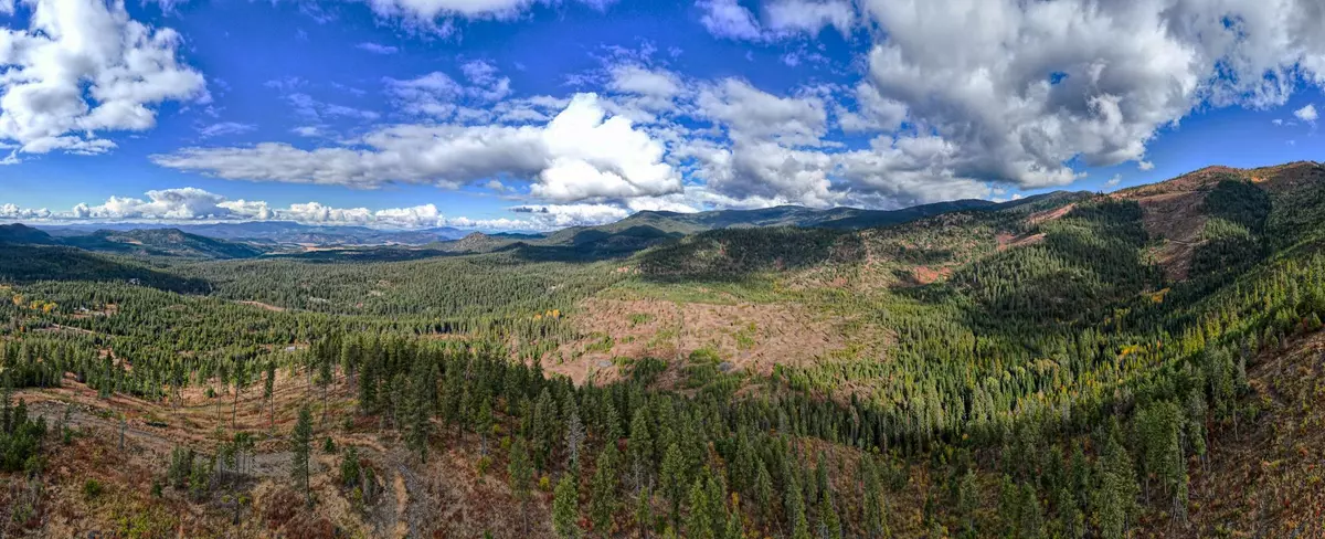 Chewelah, WA 99109,468X Lot D Grouse Creek Rd