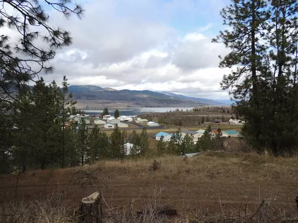 Davenport, WA 99122,River Bend Ln. E. Lot 1 Mason's Short Plat