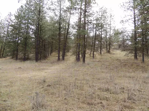 Davenport, WA 99122,River Bend Ln. E. Lot 1 Mason's Short Plat