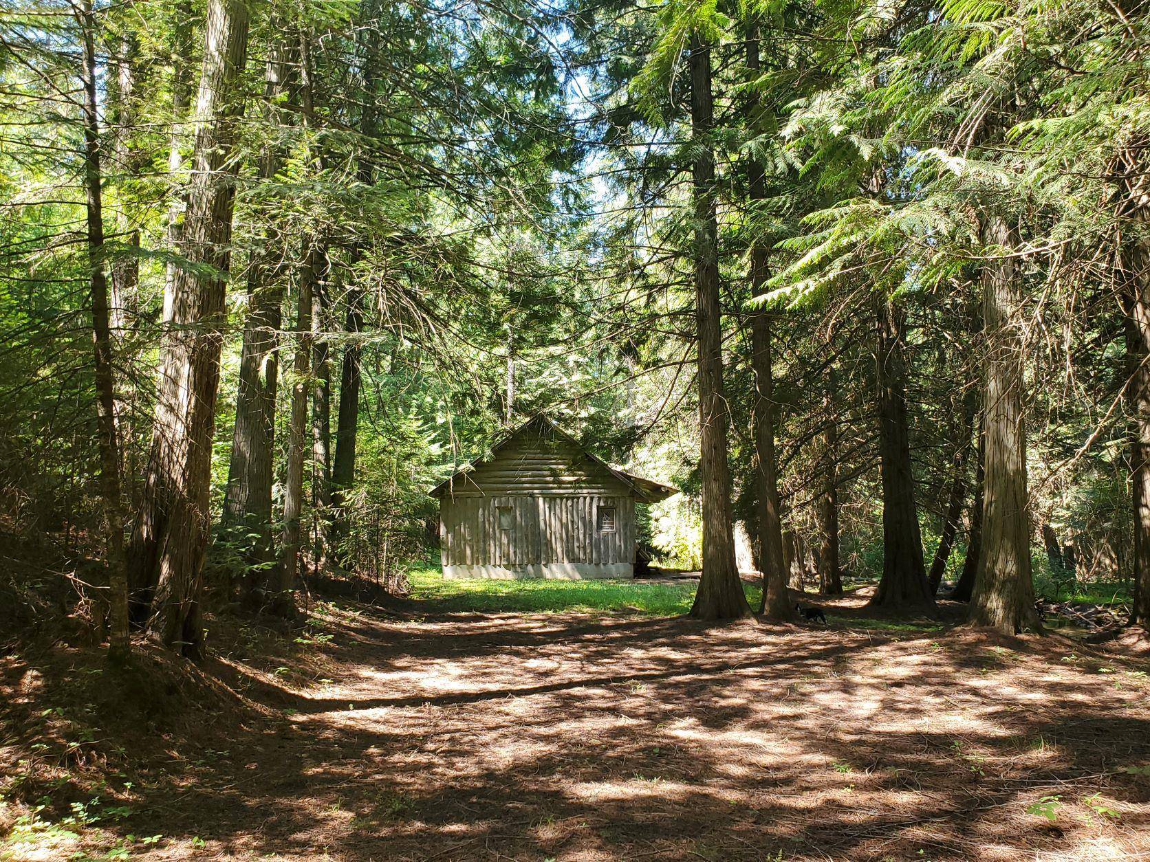 Chewelah, WA 99109,44XX Grouse Creek Rd