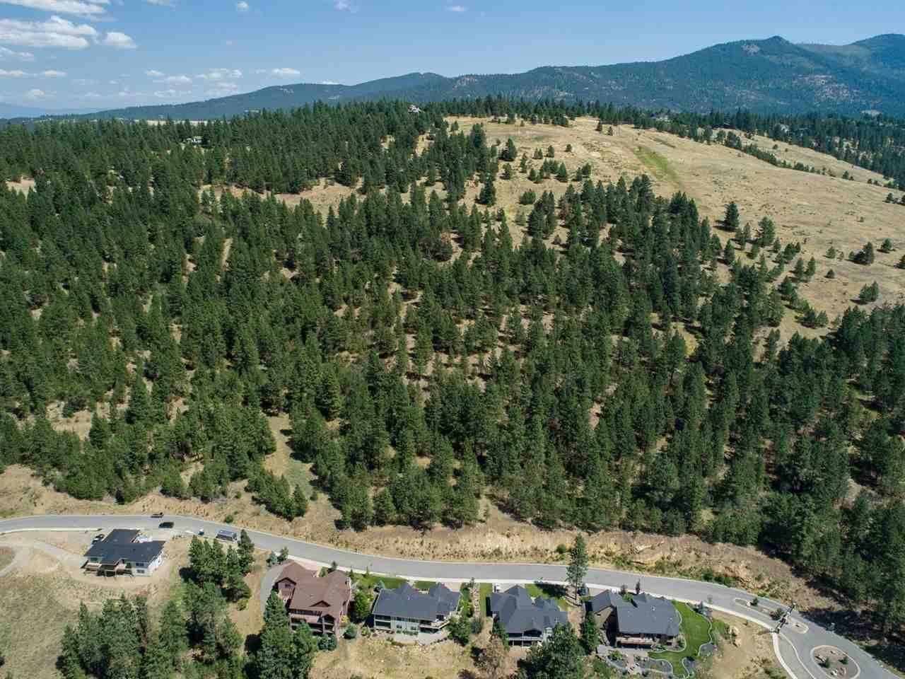 Liberty Lake, WA 99019,00 N Bella Lago Ln