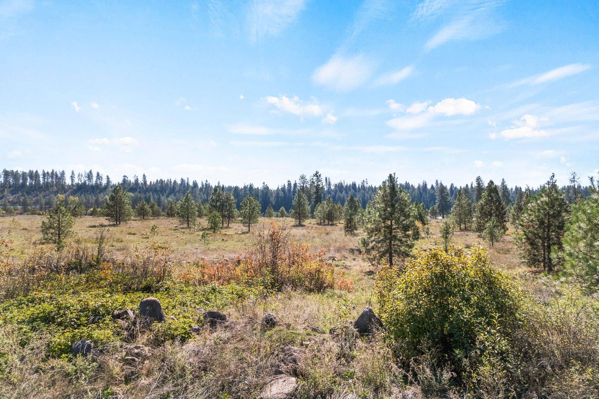Chattaroy, WA 99003,XXXX N Crescent Rd #Parcel #38342.9013