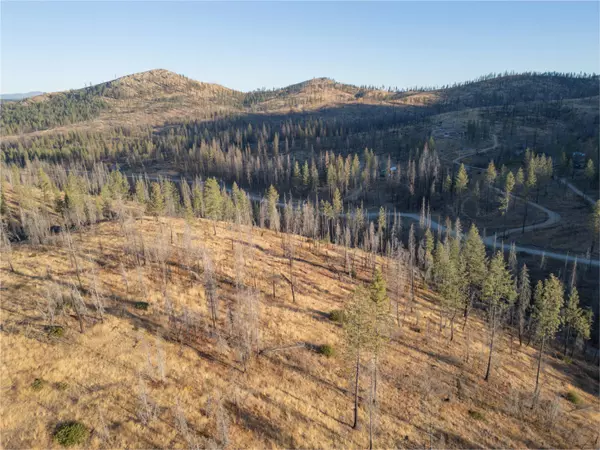 Springdale, WA 99173,Lot 11 Rail Canyon Rd