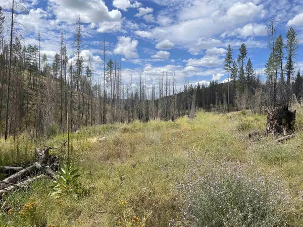 Springdale, WA 99173,Lot 12 Rail Canyon Rd