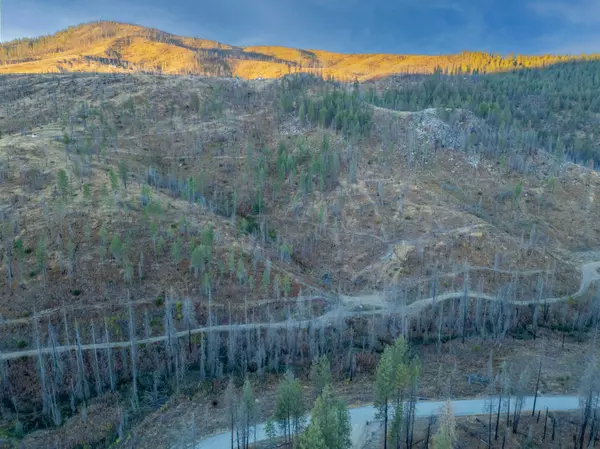 Springdale, WA 99173,Lot 12 Rail Canyon Rd