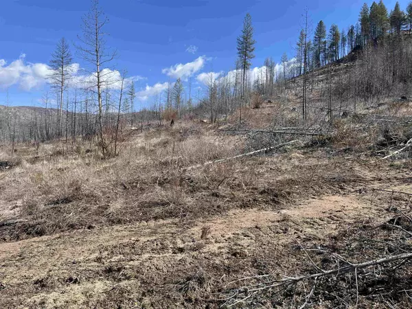 Springdale, WA 99173,Lot 1 Rail Canyon Rd