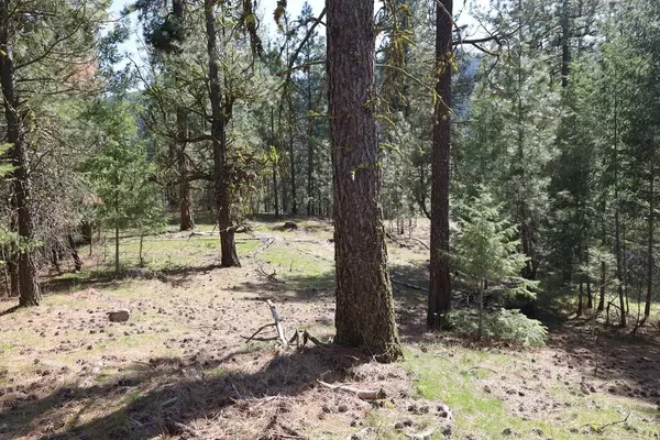 Rice, WA 99167,3200 Bradeen Rd