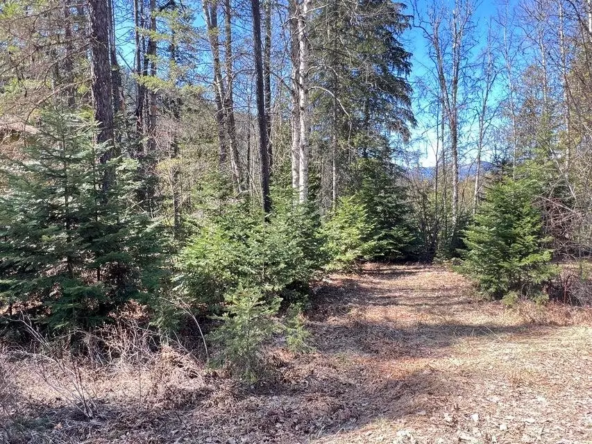 Metaline Falls, WA 99153,13521 Sullivan Lake Rd