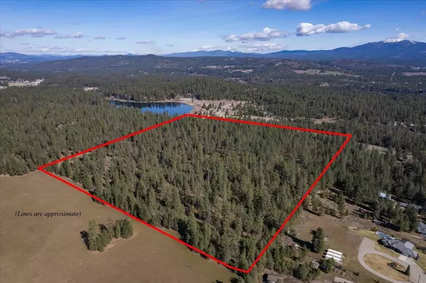 Chattaroy, WA 99003,29XXX N Regal Rd