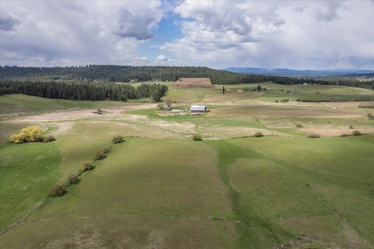 Chattaroy, WA 99003,XXXXX N Madison Rd