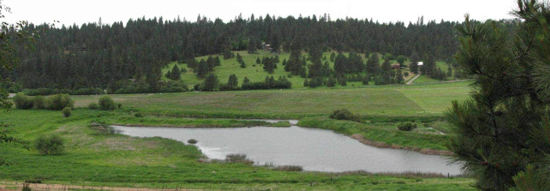 Greenacres, WA 99016,20915 S Saltese Lake Rd