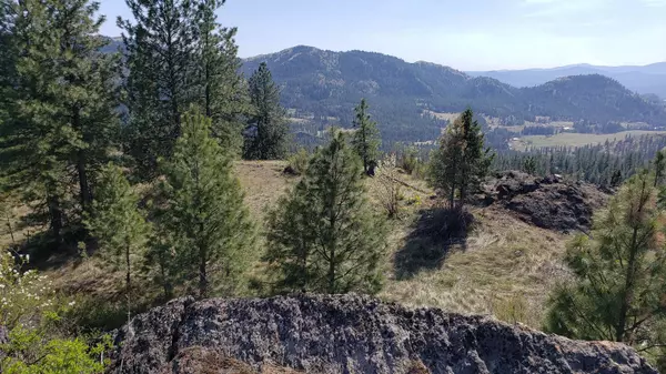 Hunters, WA 99137,4XXX Wolf WAY