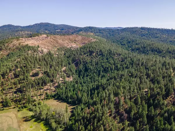 Springdale, WA 99173,NNA Dome Lane WAY #Parcels:  2461300, 2461101, 2461105