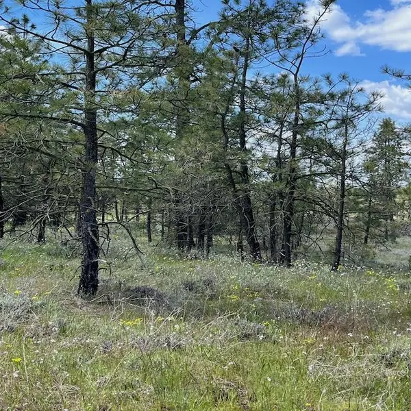 Davenport, WA 99122,31025 Ruffed Grouse E Dr