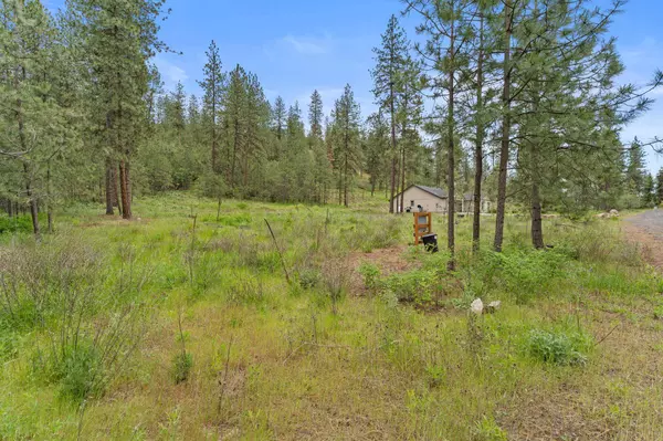 Nine Mile Falls, WA 99026,6487 Fir Drive WAY