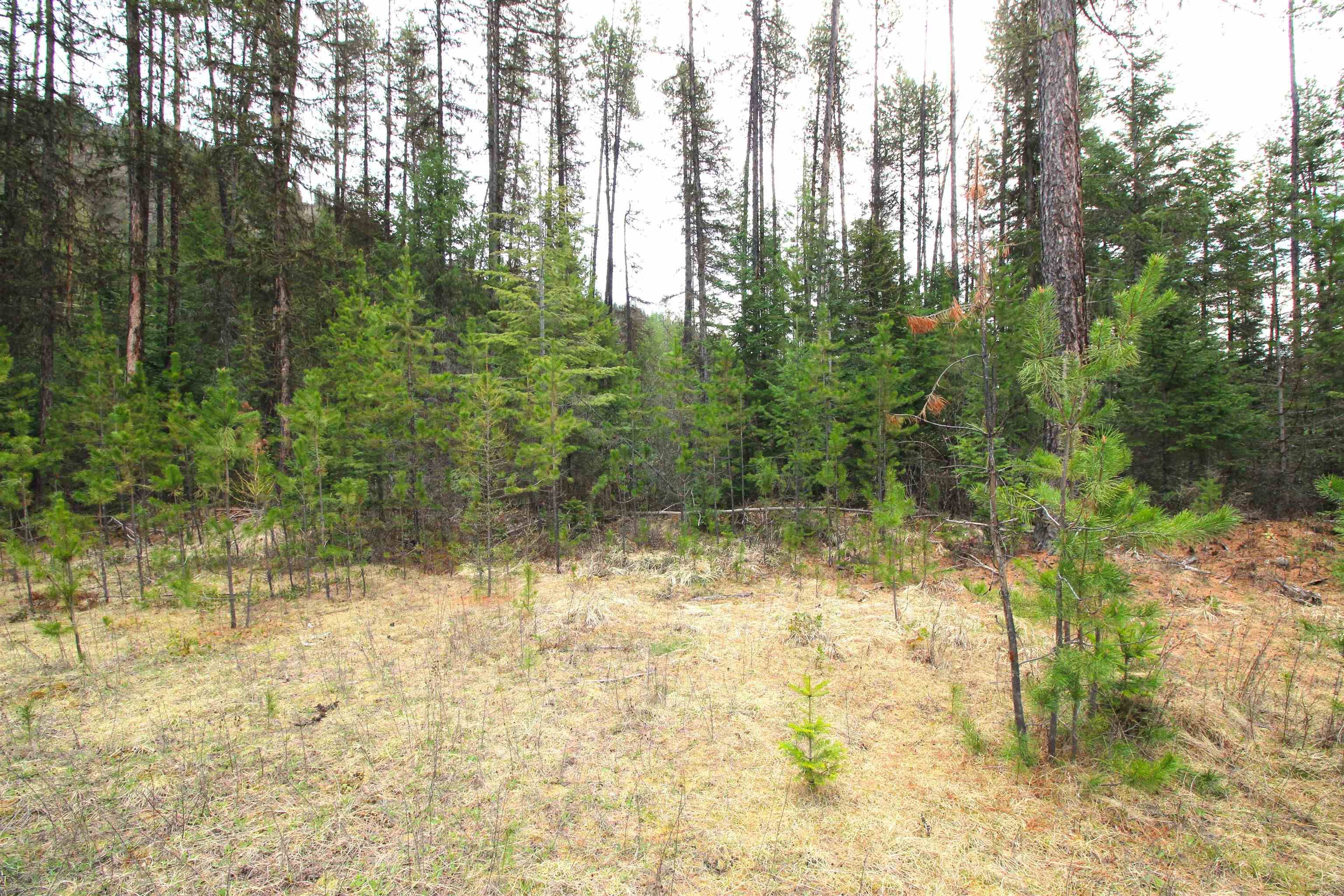TBD Arthurs Blvd, Cusick, WA 99119