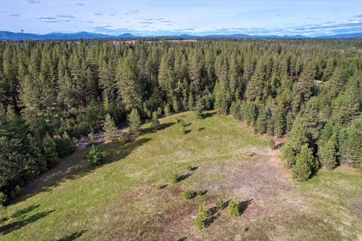 Deer Park, WA 99006,XXX N Dalton Rd