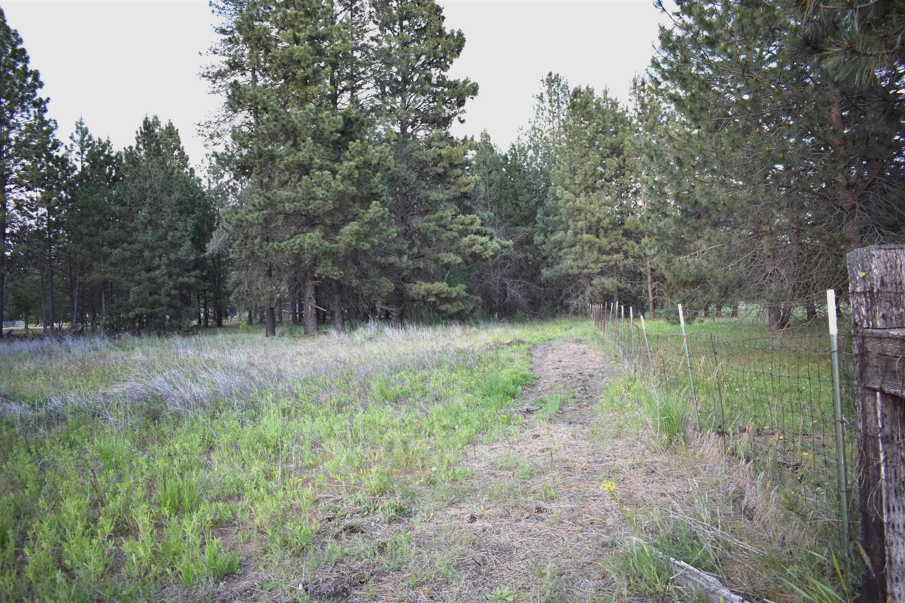 Cheney, WA 99004,XXXX W White Rd