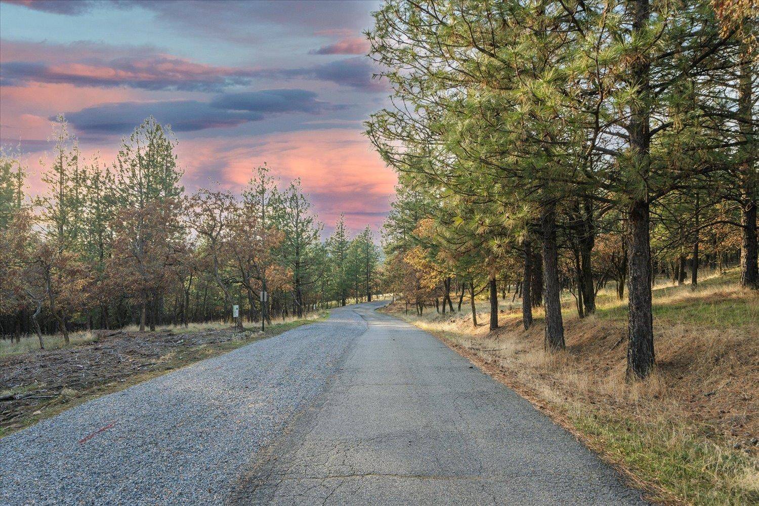 Liberty Lake, WA 99019,25161 E Wyvern Ln #Lot #1