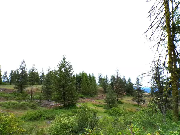 Inchelium, WA 99138,4XX D S Barnaby Creek Rd