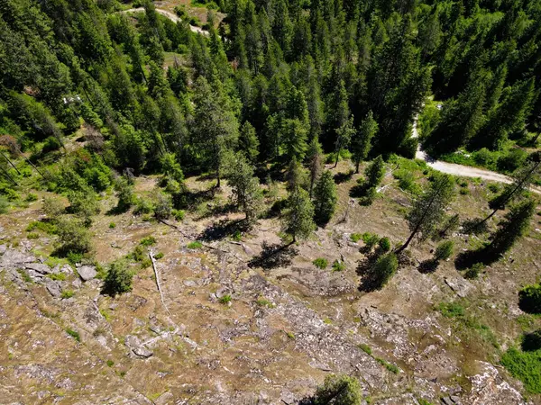 Newport, WA 99156,Lot 14 Elk Rd