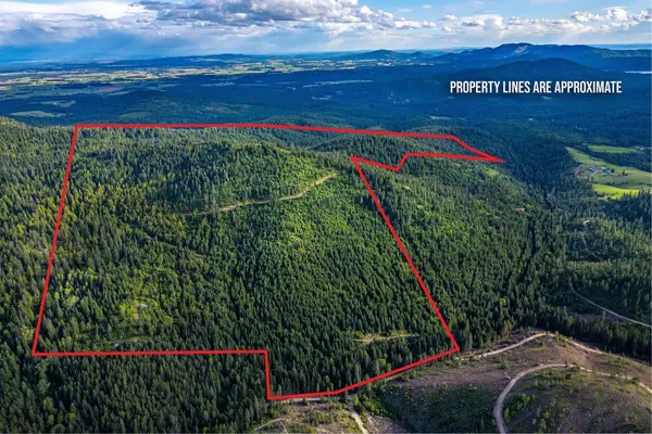 Loon Lake, WA 99148-0000,TBD Buck Creek Rd