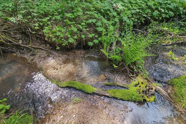 Loon Lake, WA 99148-0000,TBD Buck Creek Rd