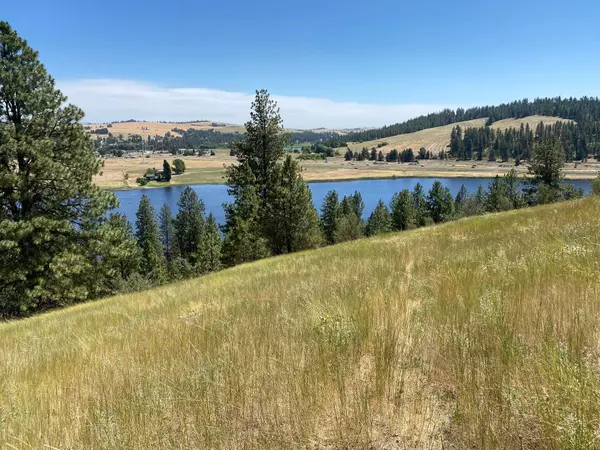 Medical Lake, WA 99022,156XX W Silver Lake (Lot 9071) Rd