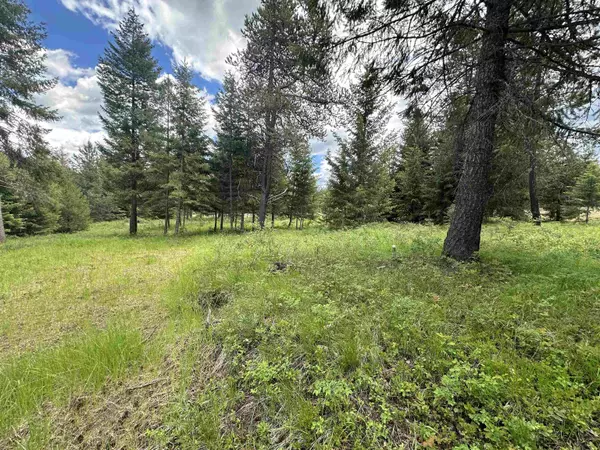 Chattaroy, WA 99003,34810 E Wisteria Ln #approx