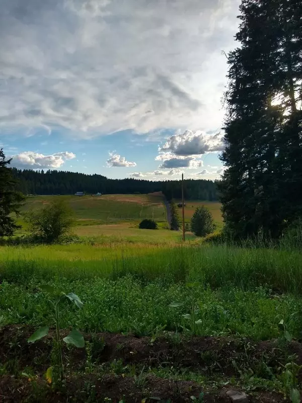 Chattaroy, WA 99003,25516 N Orchard Bluff Rd