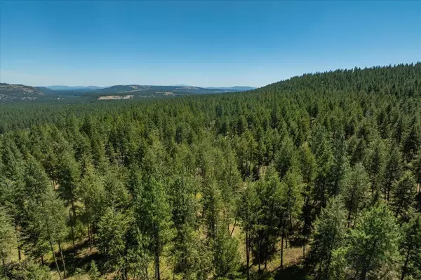 Nine Mile Falls, WA 99026,13XXX N Red Fir Ln