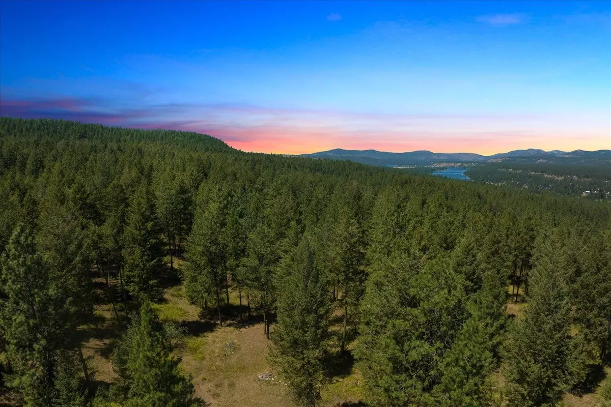 Nine Mile Falls, WA 99026,13XXX N Red Fir Ln