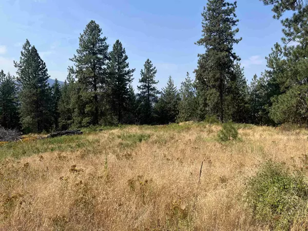 Colville, WA 99114,TBD Highland LOOP