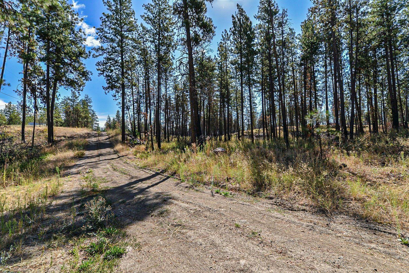 Medical Lake, WA 99022,125XX S Clear Lake Rd #Lot #1
