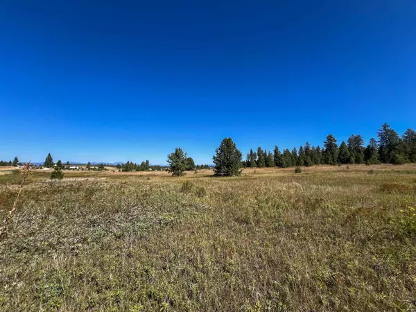 Deer Park, WA 99006,52XX Lot 1 Swenson Rd