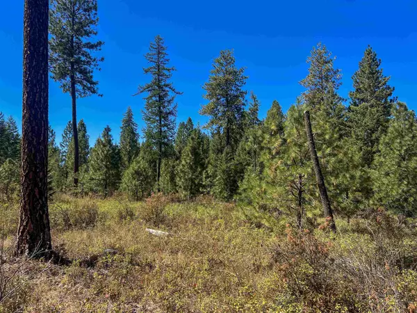 52XX Lot 2 Swenson Rd, Deer Park, WA 99006