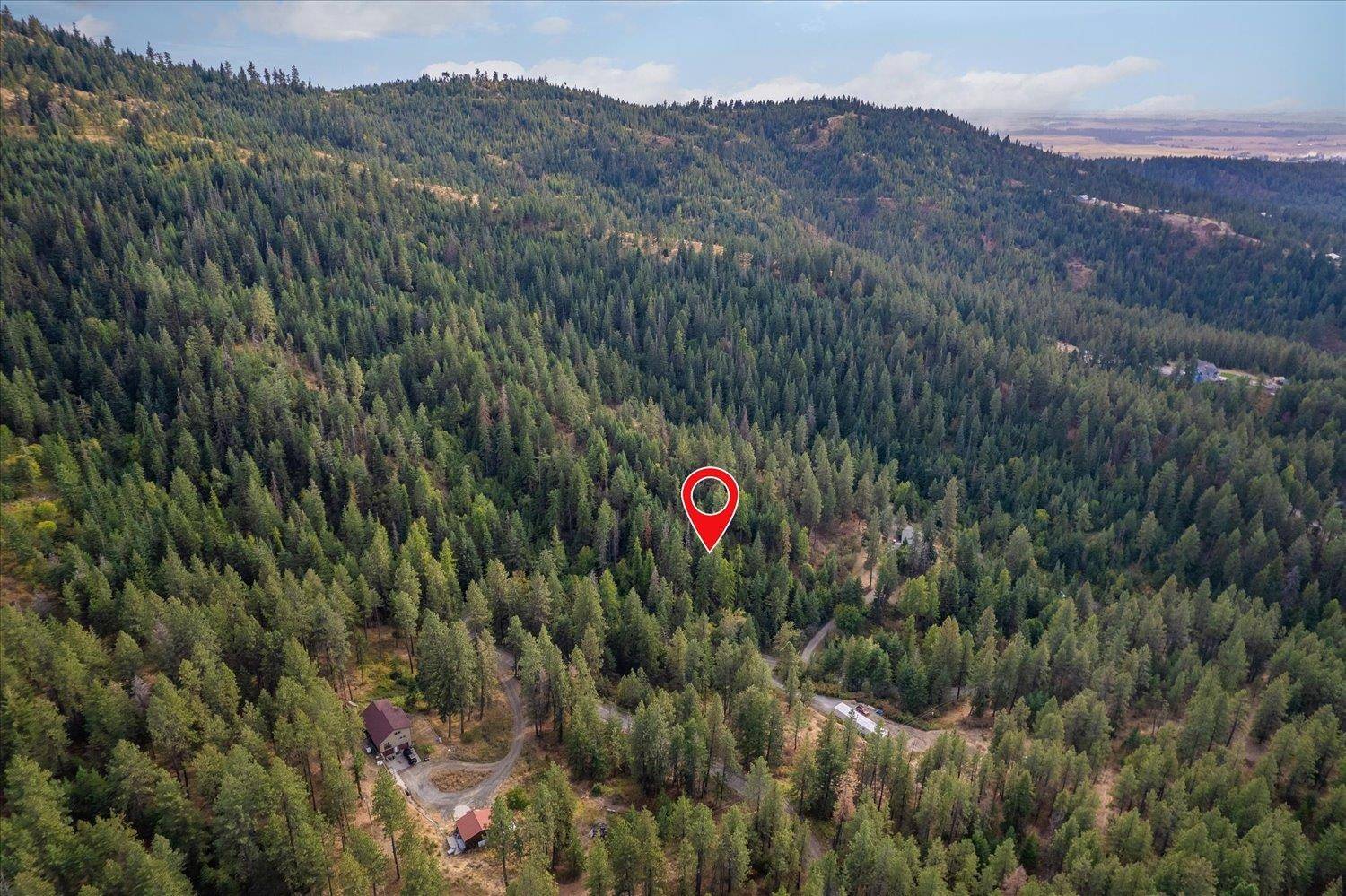 Mica, WA 99023,109XX Forney Rd