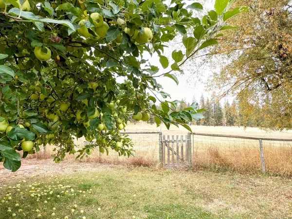 Clayton, WA 99110,4584 Oregon Rd