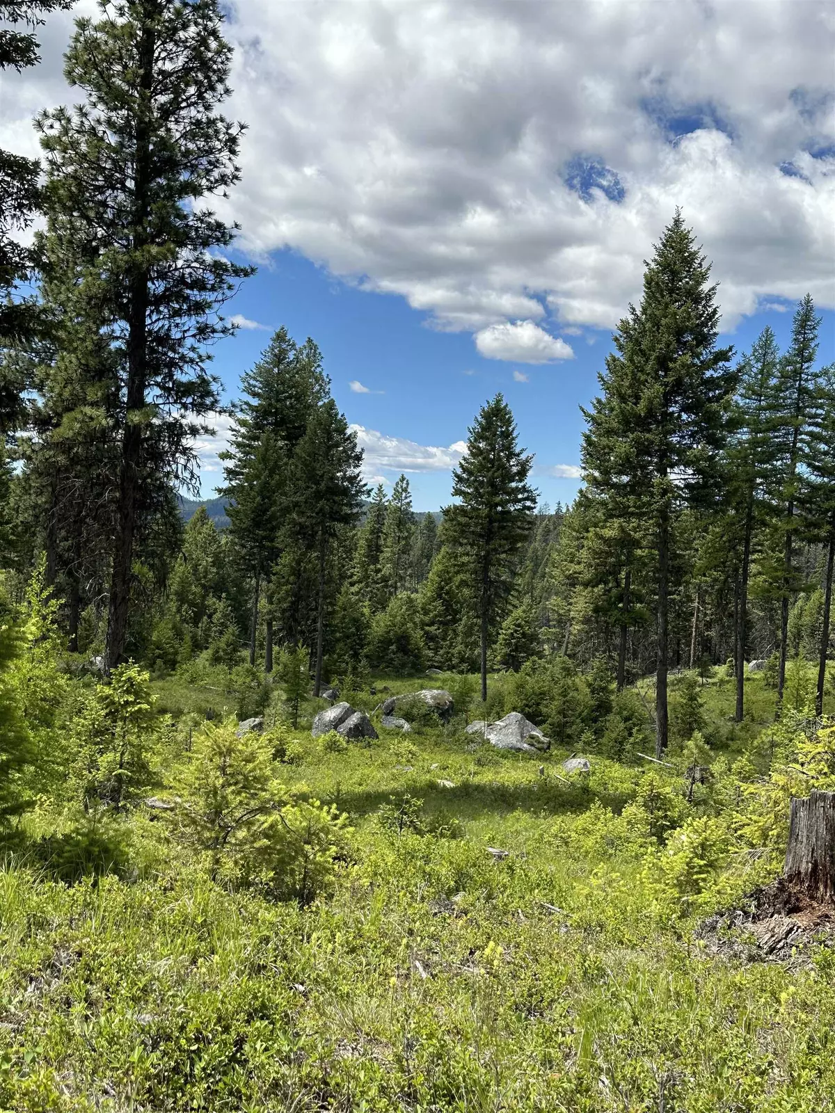 Republic, WA 99166,TBD Lot 7 Sheridan Rd