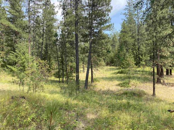 XXXXX E Elk-Chattaroy Rd, Elk, WA 99009