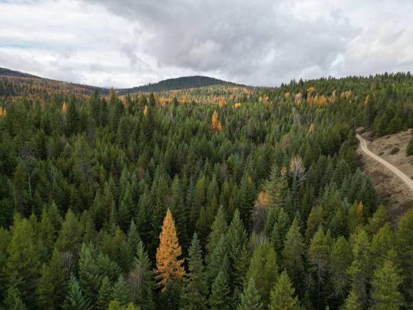 TBD Schlegel Ranch Rd, Ione, WA 99139-0000