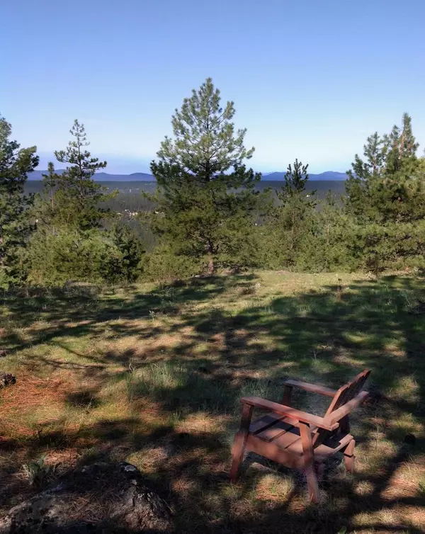 Chattaroy, WA 99003,Lot 33 E Robin Ln